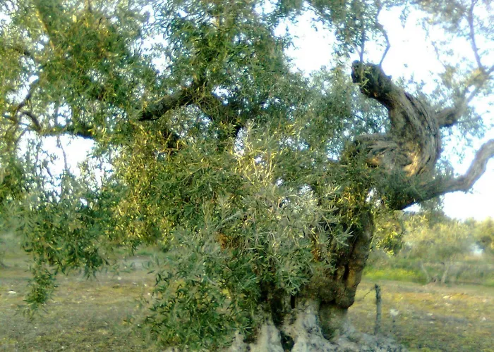 La Brena Séjour à la campagne *