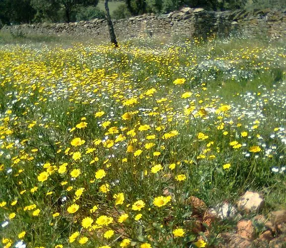 Séjour à la campagne La Brena